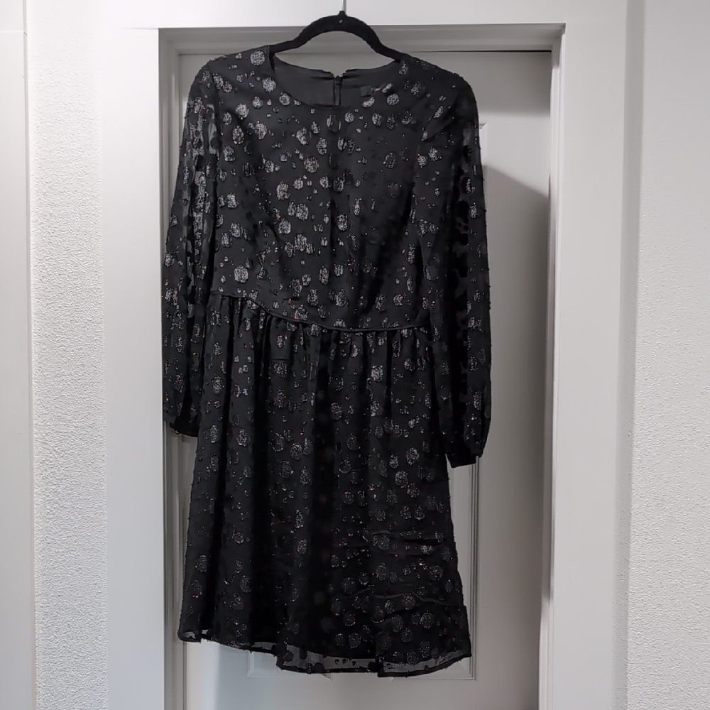 J. Crew Black Dress with Accents